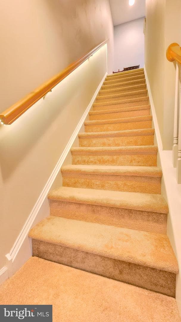 428 Gavin Drive photo 19