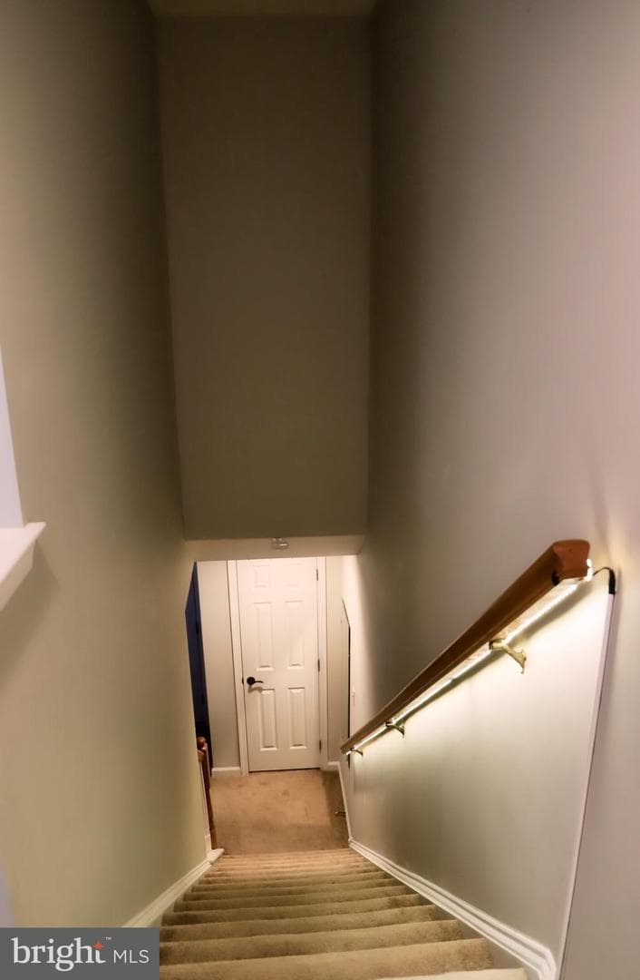 428 Gavin Drive photo 21