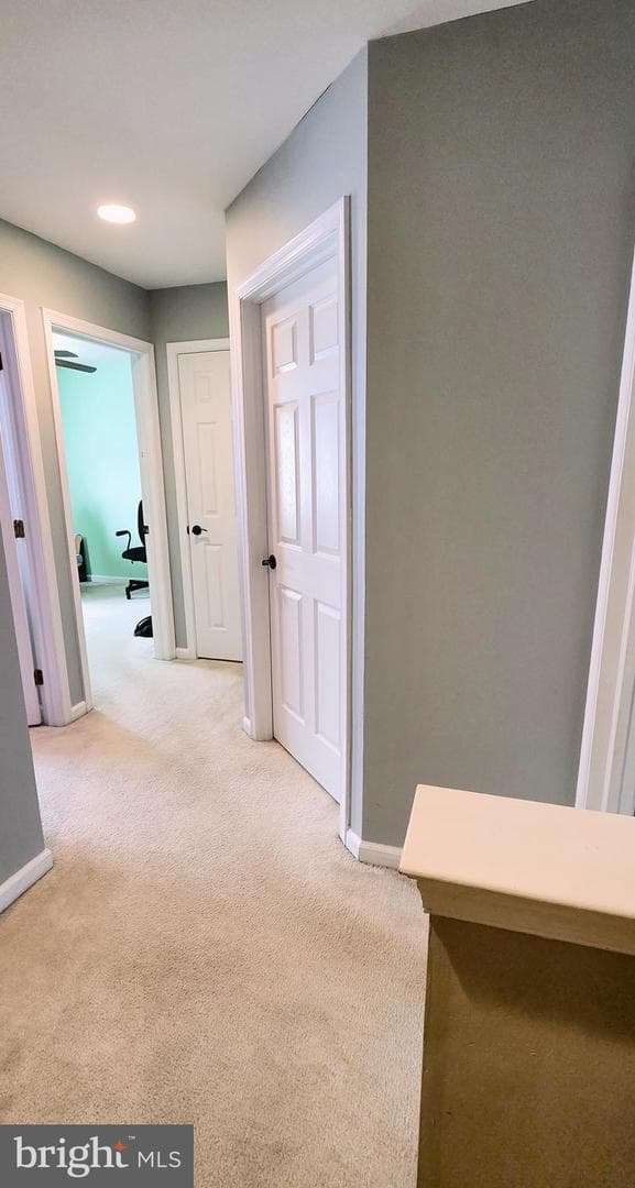428 Gavin Drive photo 22