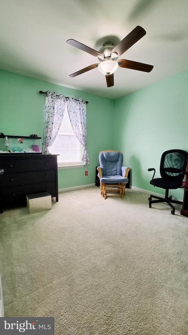 428 Gavin Drive photo 36