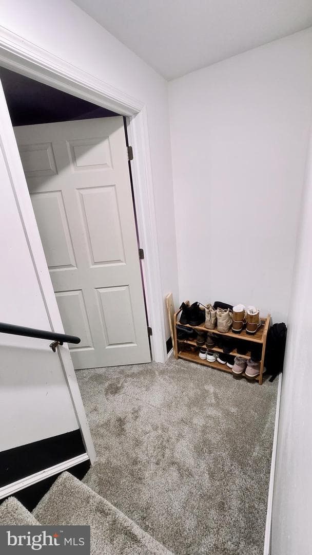 428 Gavin Drive photo 51