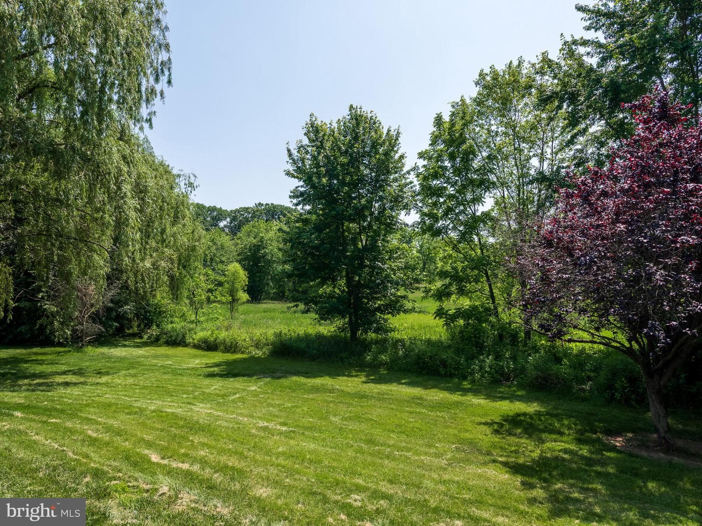 125 Candlewyck Drive photo 44