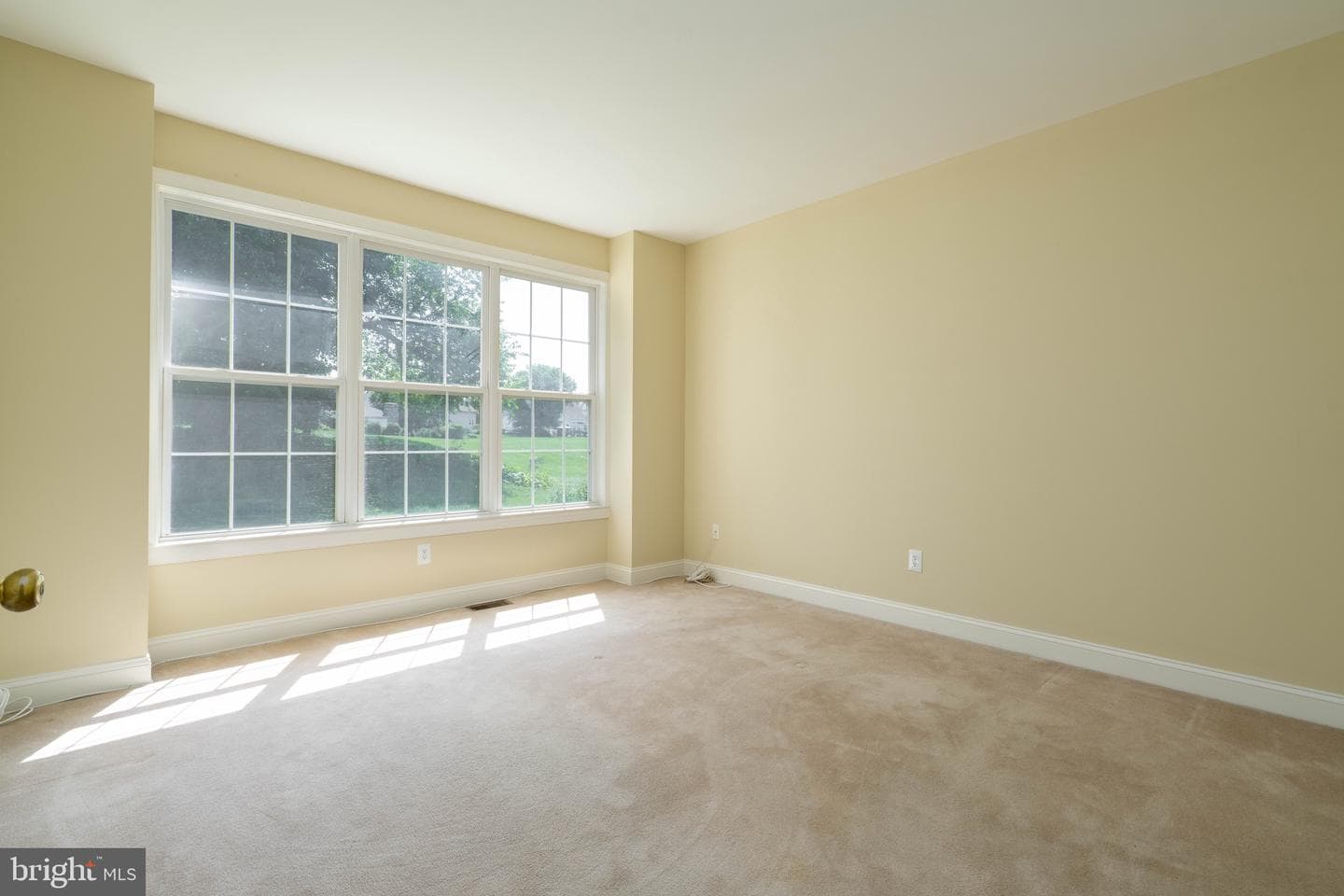 222 Honey Locust Drive photo 24