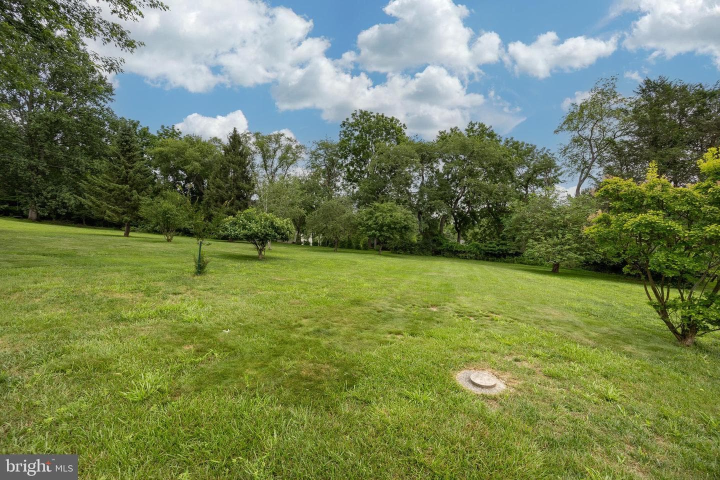 1526 Walton Drive photo 45