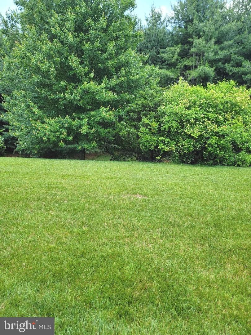 339 Carlisle Drive photo 28