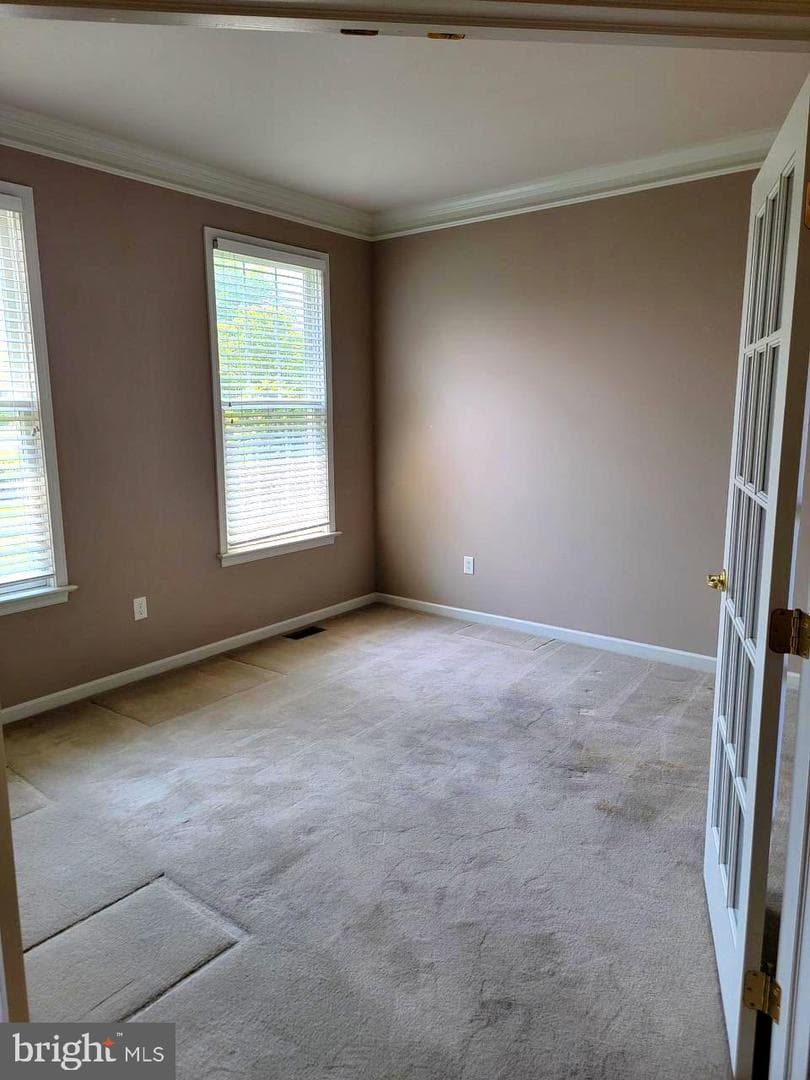 339 Carlisle Drive photo 4