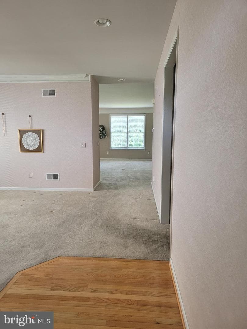 339 Carlisle Drive photo 6