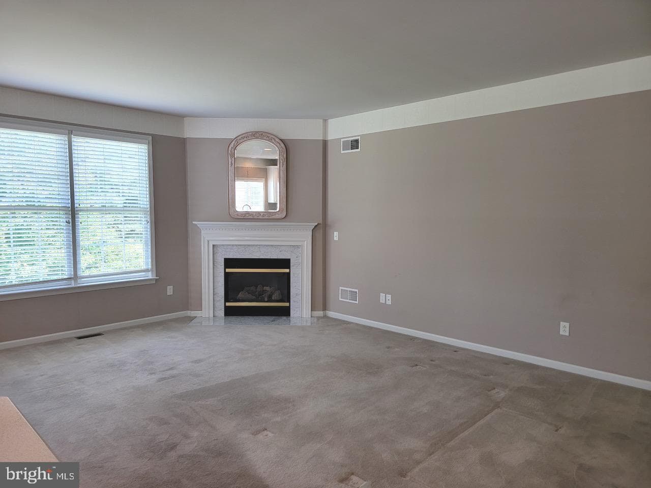 339 Carlisle Drive photo 7