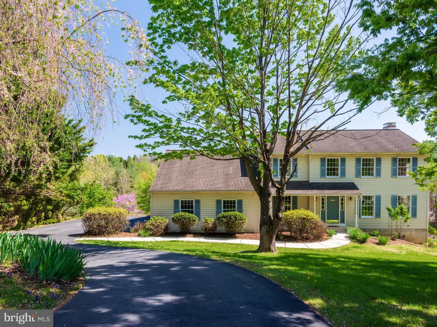 102 Noble Drive photo 6
