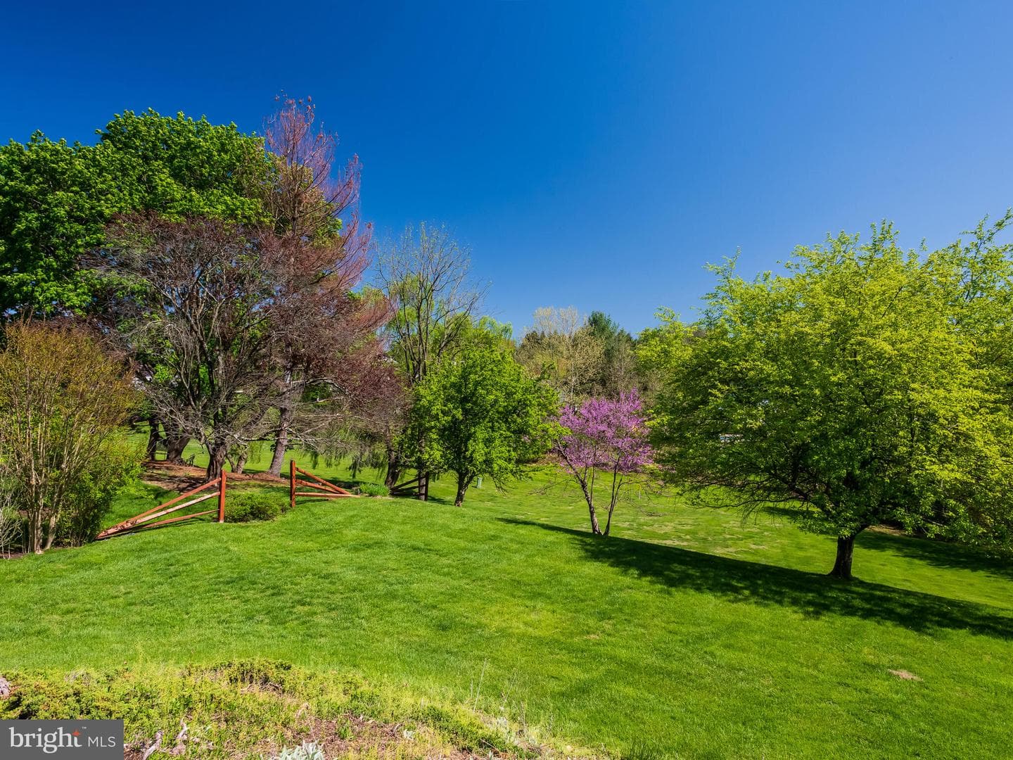 102 Noble Drive photo 8