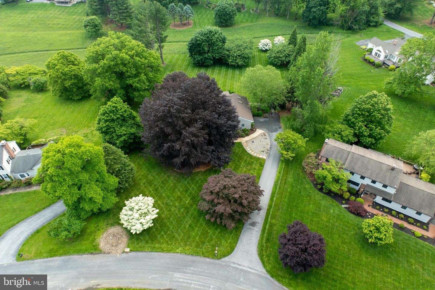 1004 General Stevens Drive photo 4