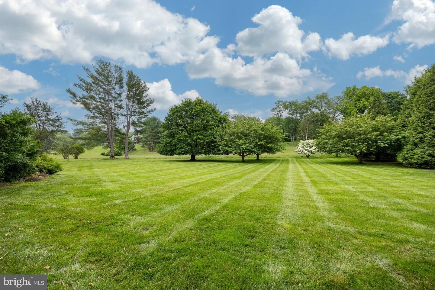 1004 General Stevens Drive photo 40