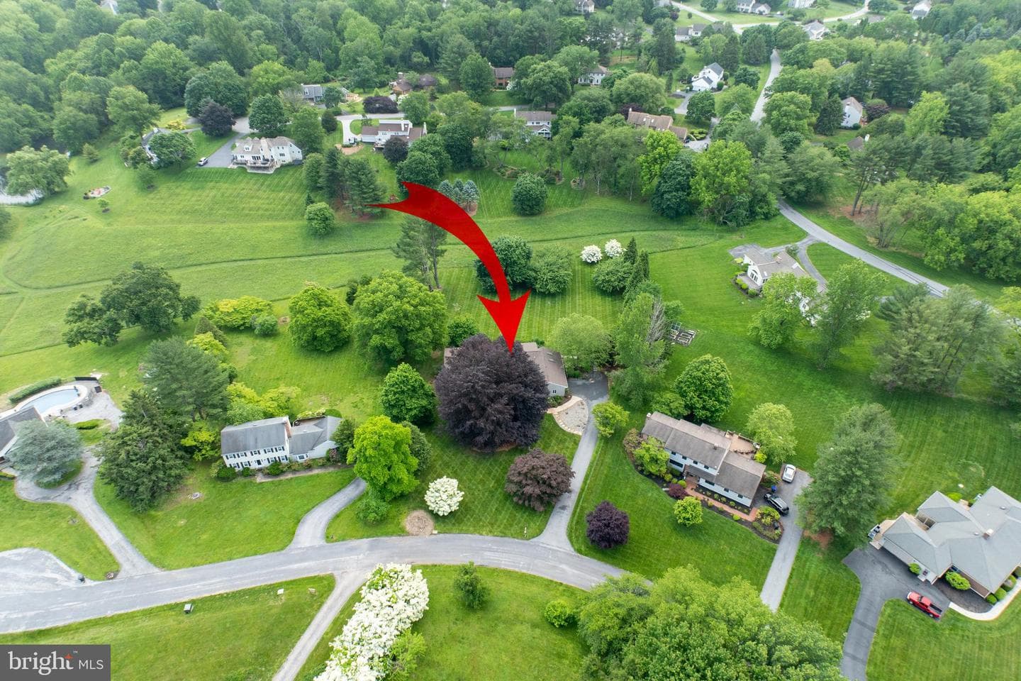 1004 General Stevens Drive photo 5