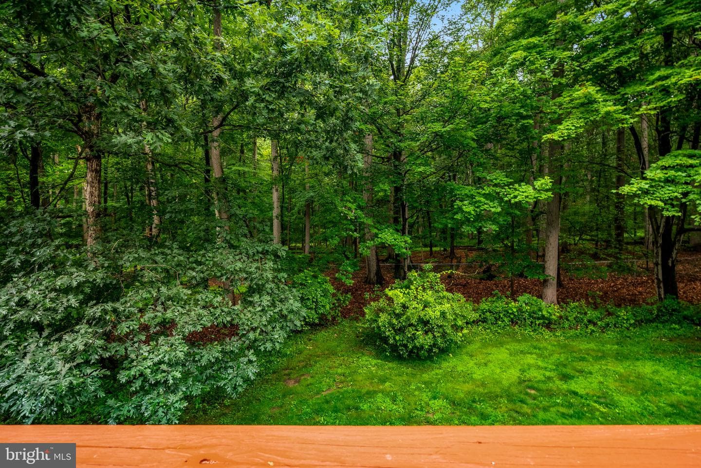 139 Putney Lane #139 photo 13