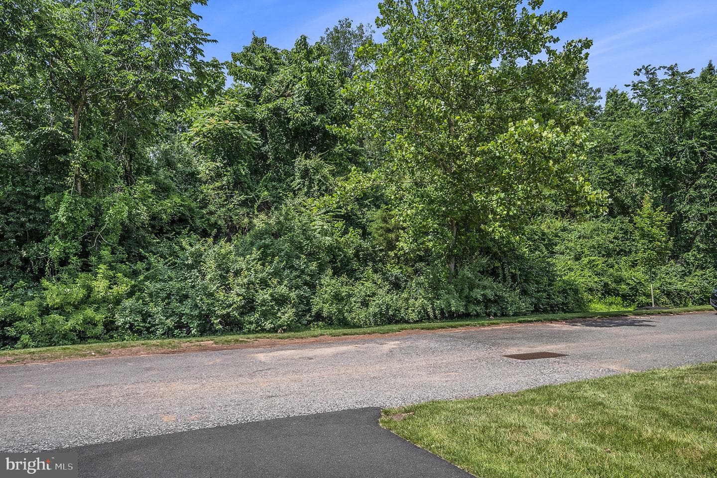 361 Foundry Street photo 36
