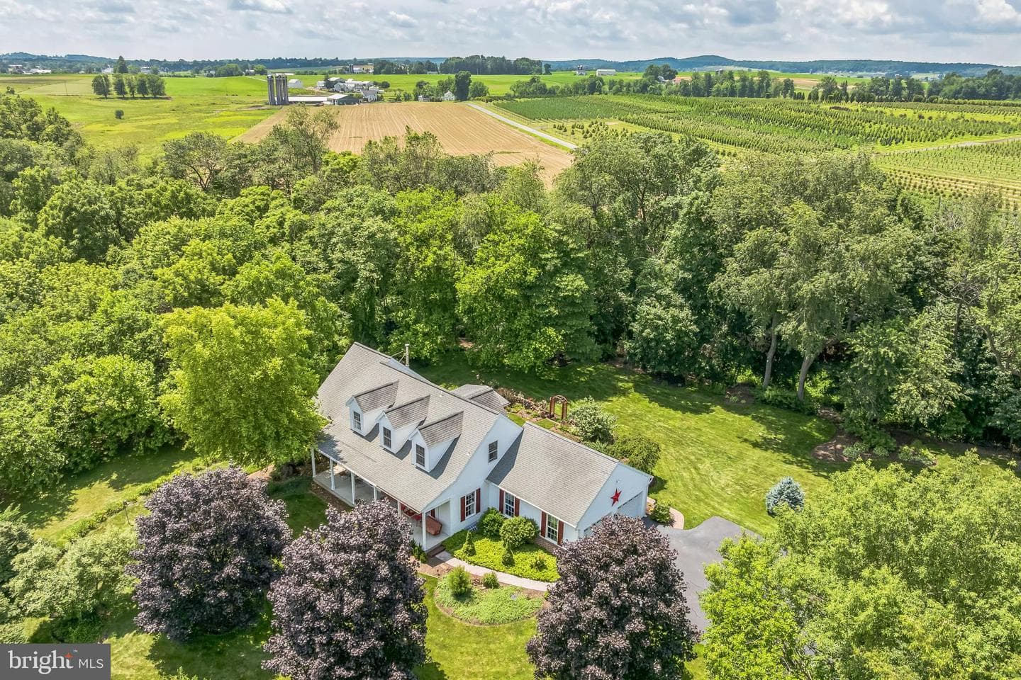 580 Buchanon Road photo 45
