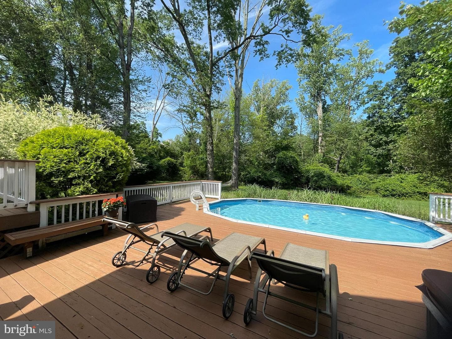496 Black Swan Lane photo 30