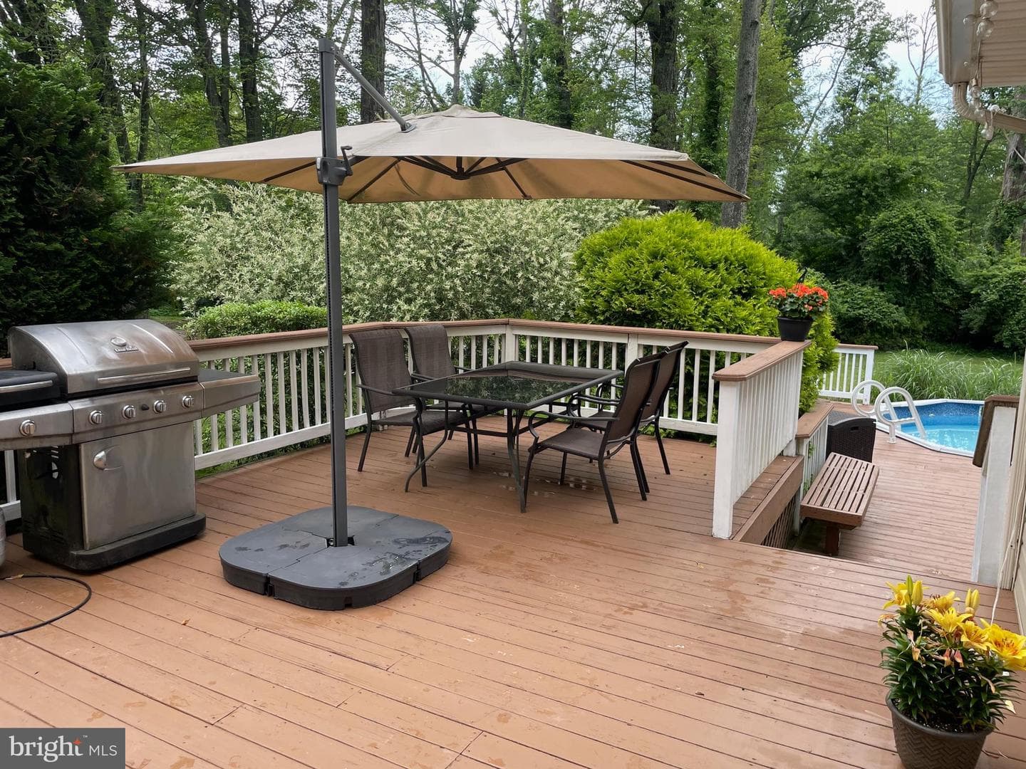 496 Black Swan Lane photo 31
