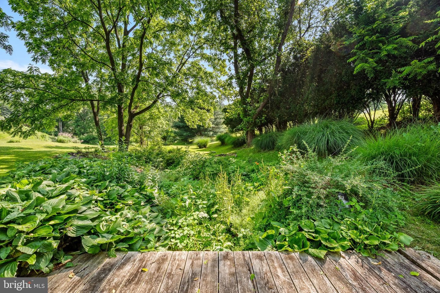 547 Lewisville Road photo 24