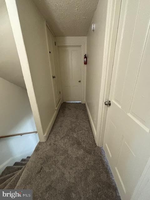 617 E Chestnut Street photo 15