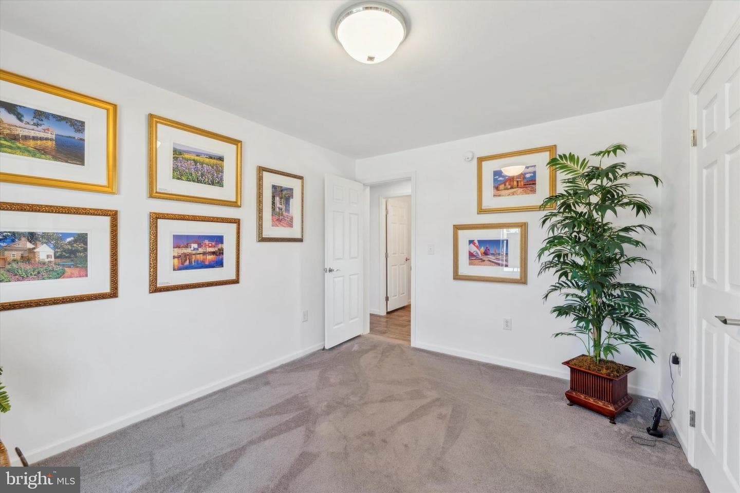 411 Rainbow Drive photo 21
