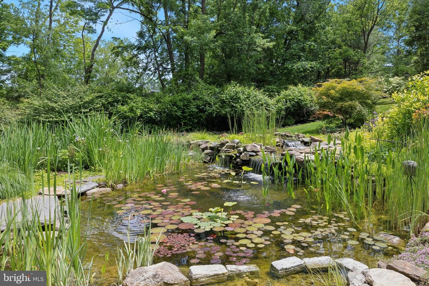 150 Waterview Drive photo 28