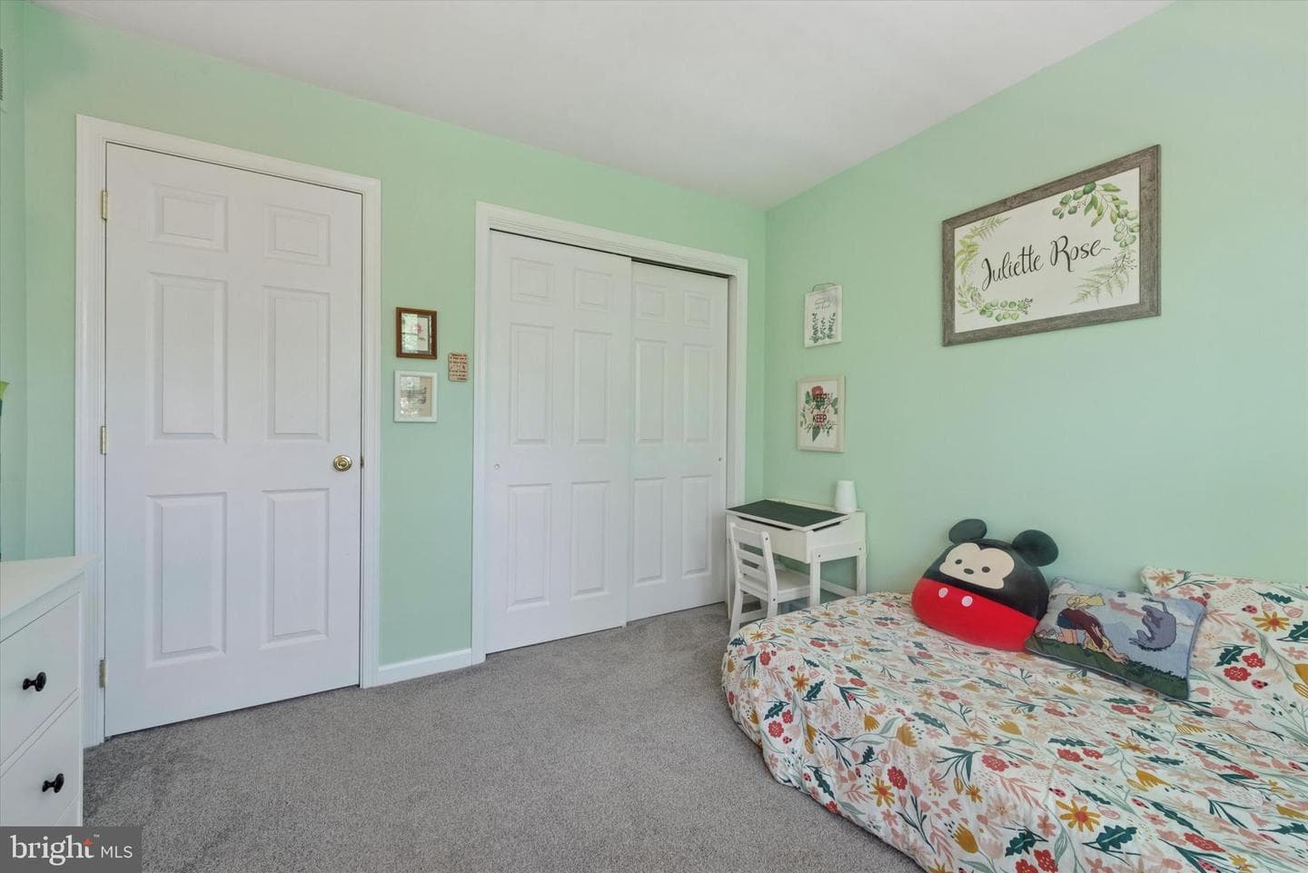 213 Buchanan Court photo 19