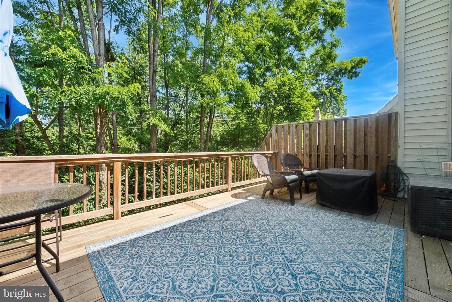 213 Buchanan Court photo 23