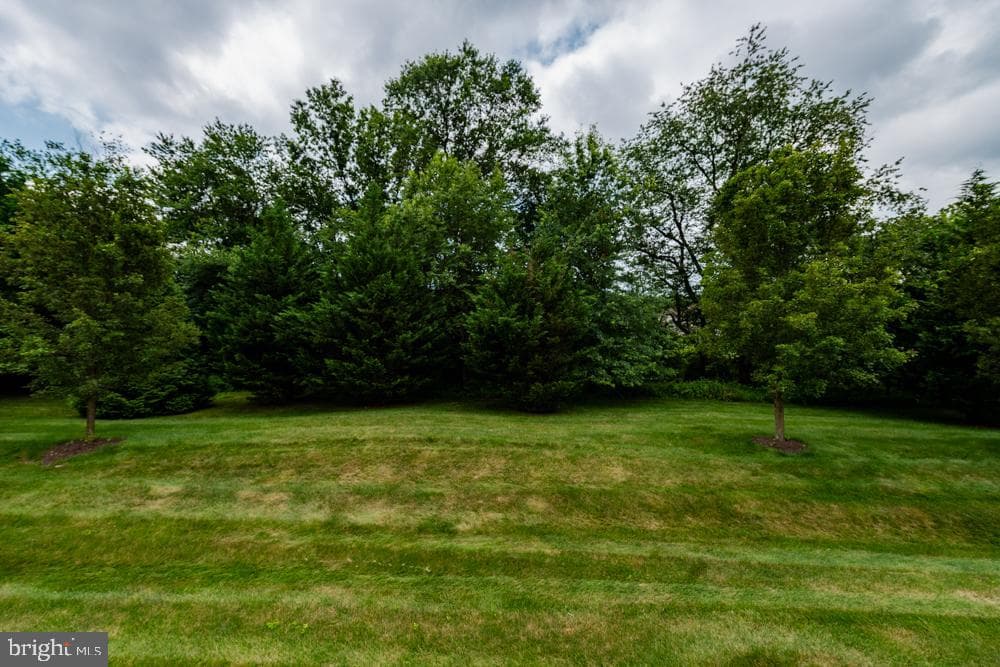 144 Reynolds Lane photo 28