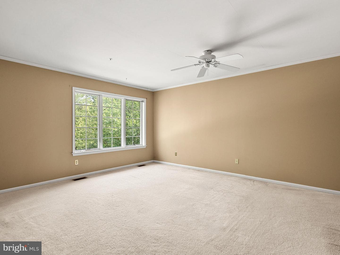 77 Buttonwood Drive #77 photo 18