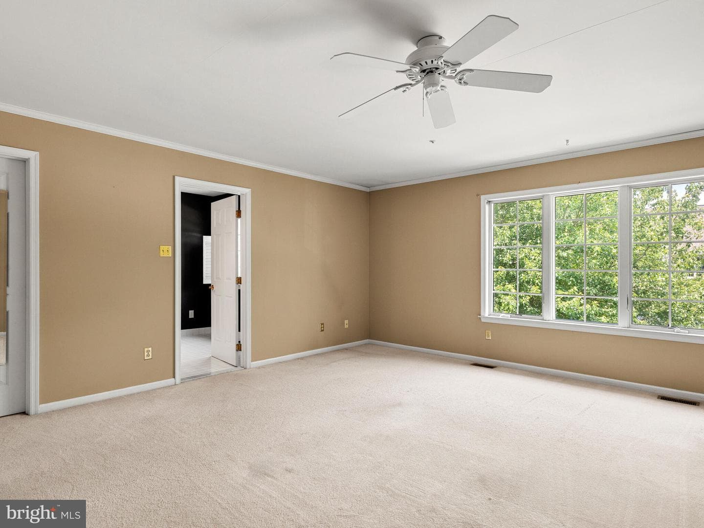 77 Buttonwood Drive #77 photo 3