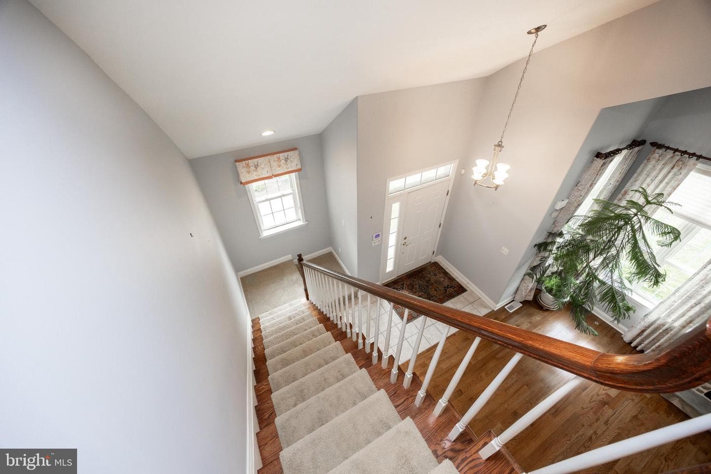 1004 Aris Pear Way photo 28