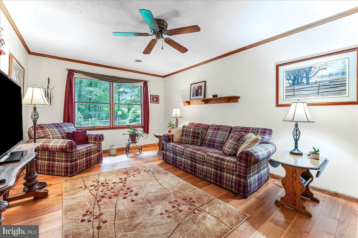 372 Hipkins Road photo 27