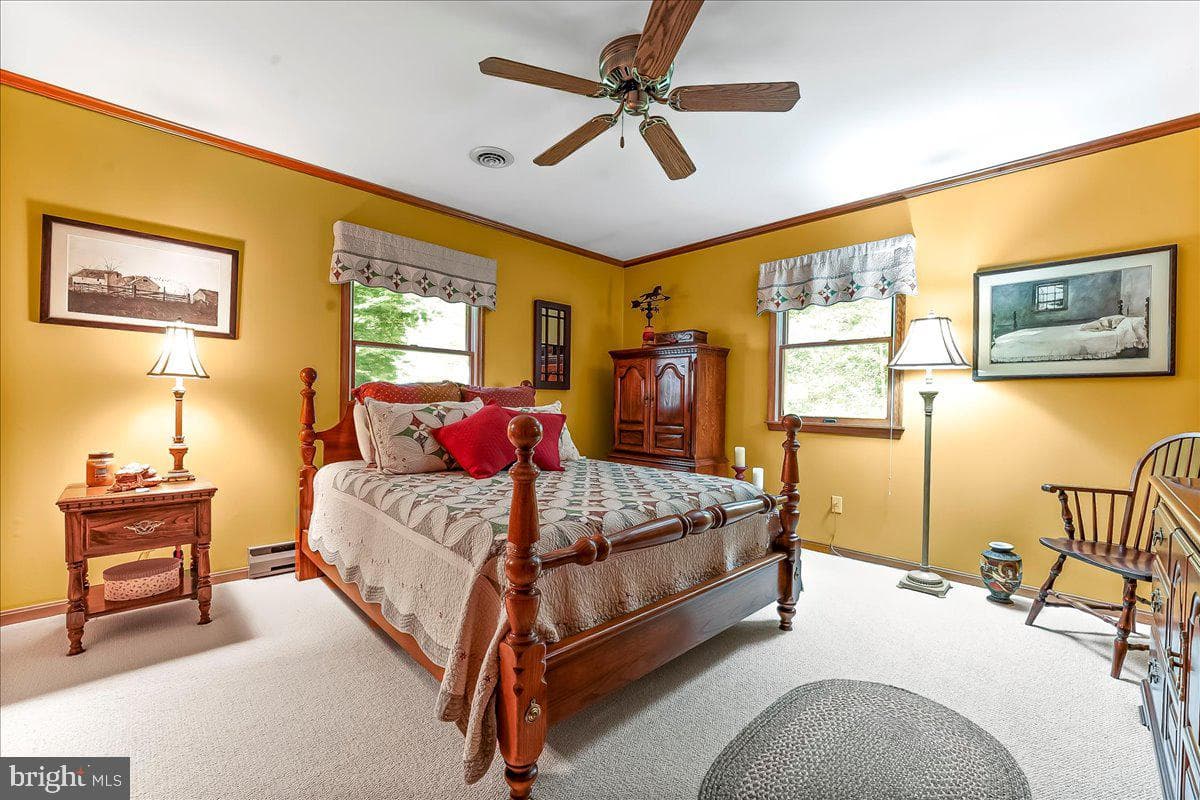 372 Hipkins Road photo 29