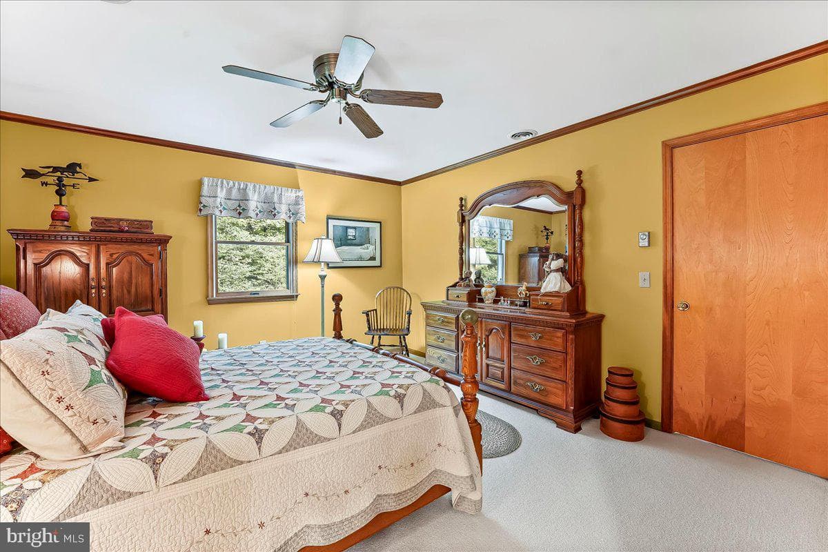 372 Hipkins Road photo 30