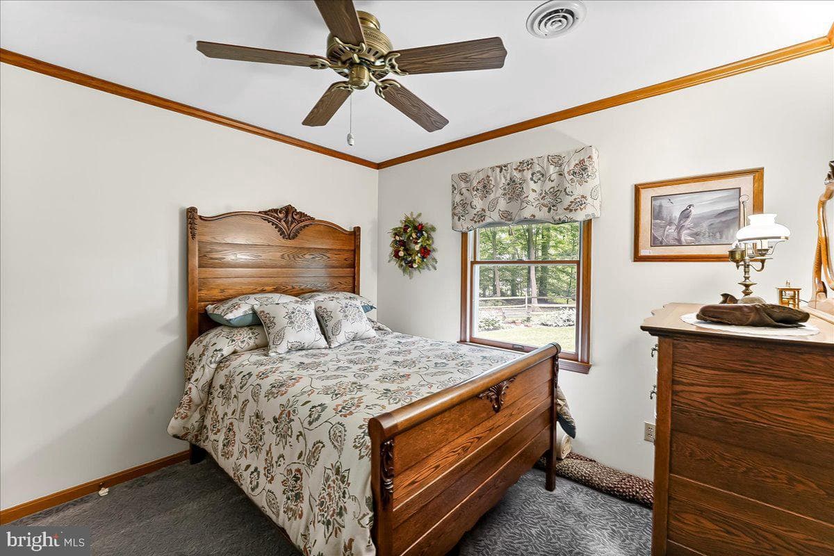 372 Hipkins Road photo 32