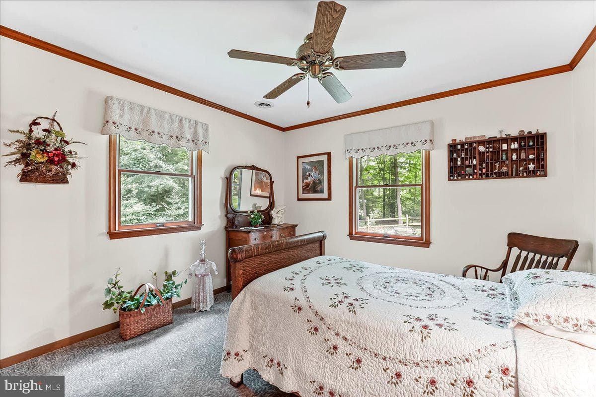 372 Hipkins Road photo 34