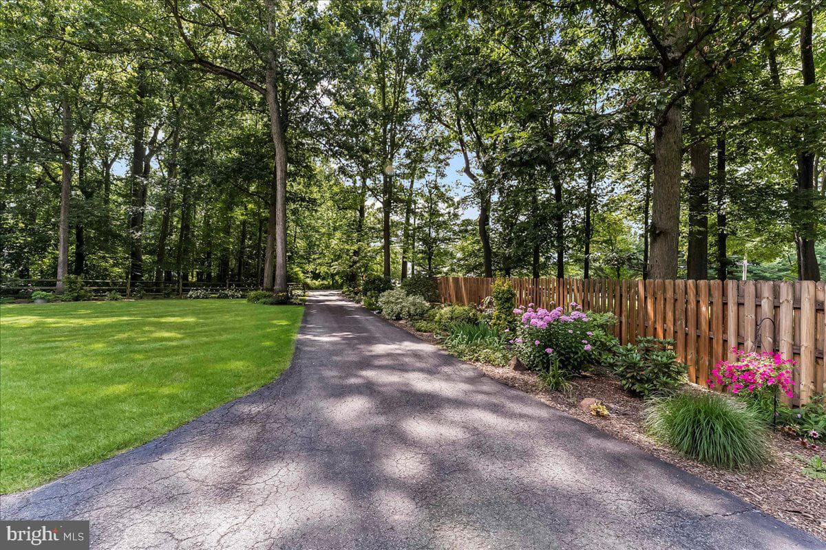 372 Hipkins Road photo 5