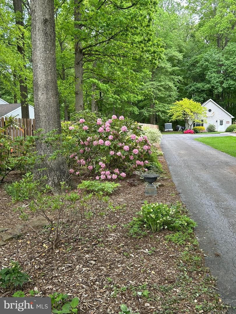 372 Hipkins Road photo 52