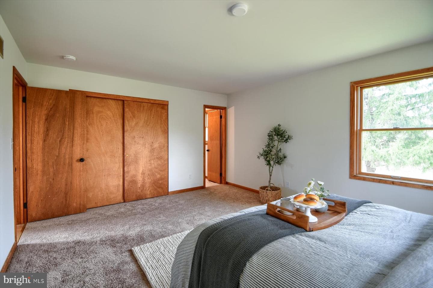 604 5th Street photo 12