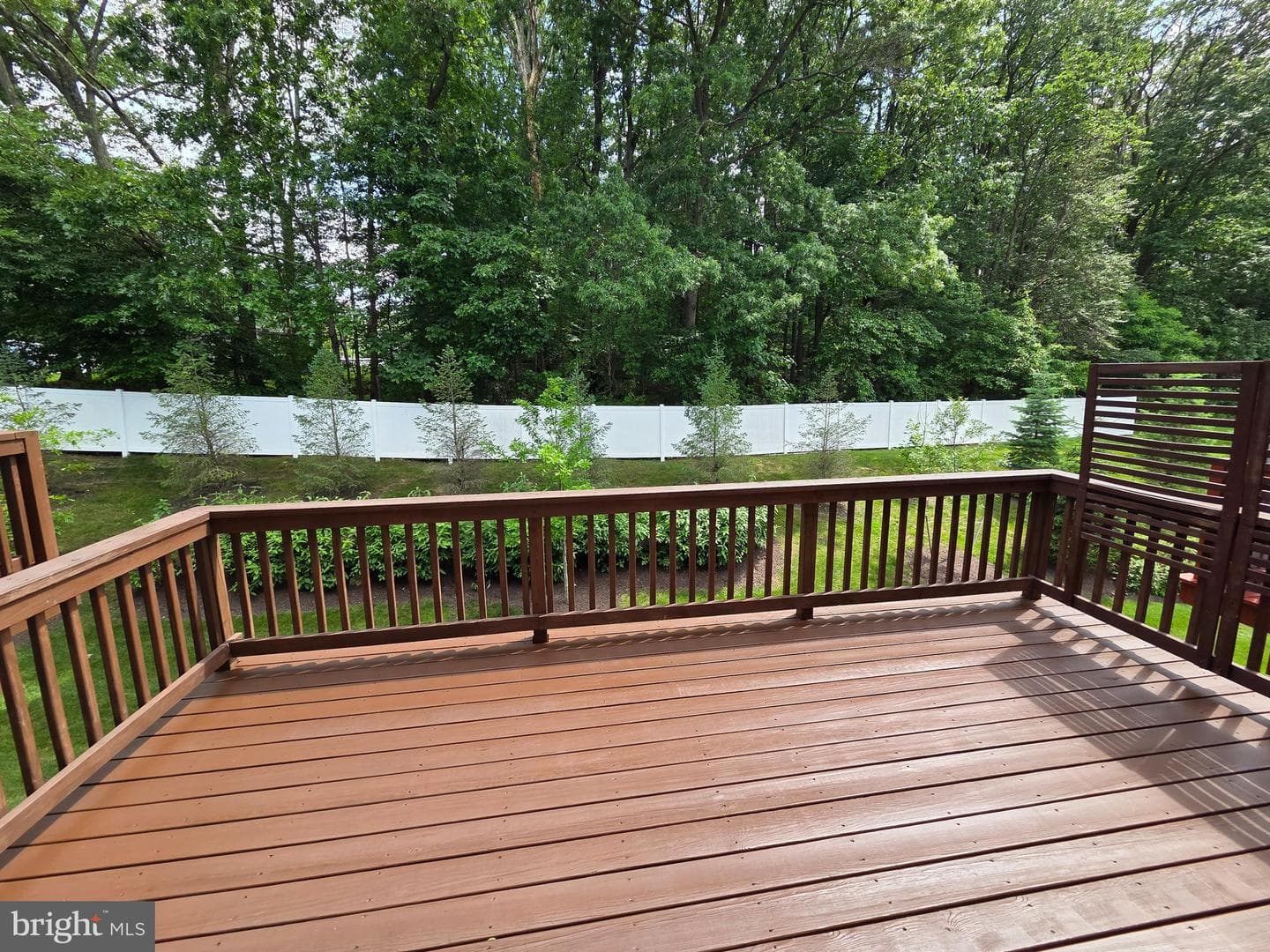 320 Dawson Place photo 21
