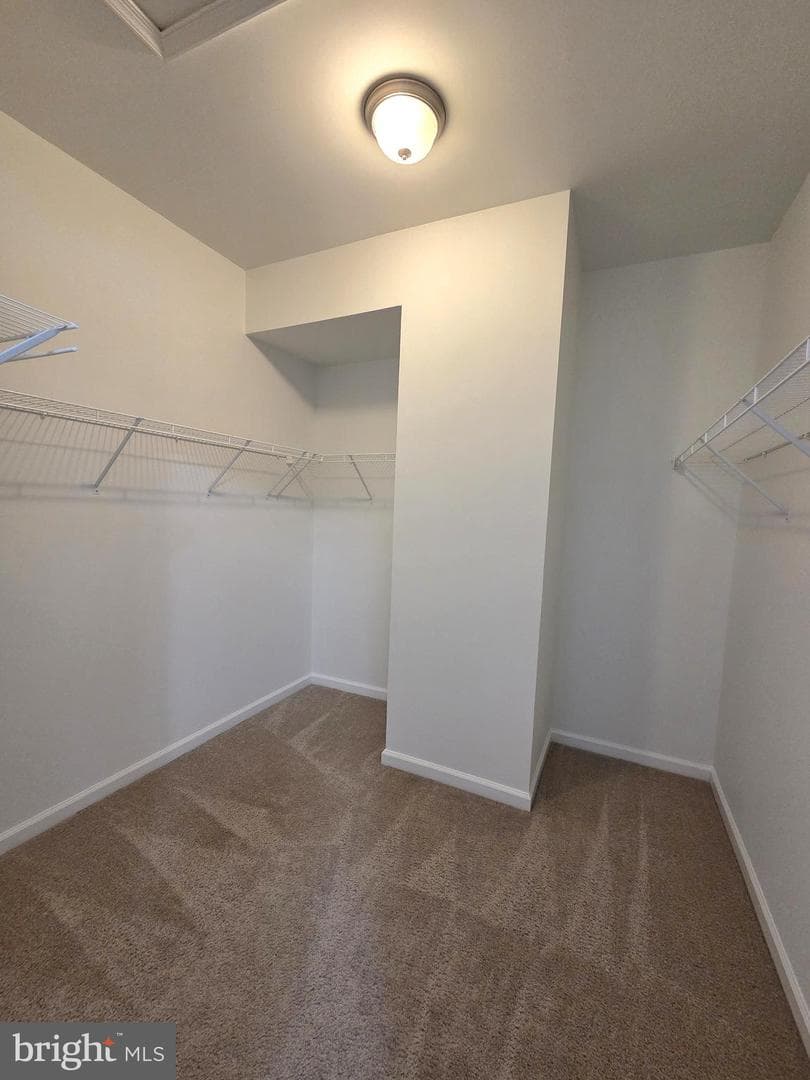 320 Dawson Place photo 27