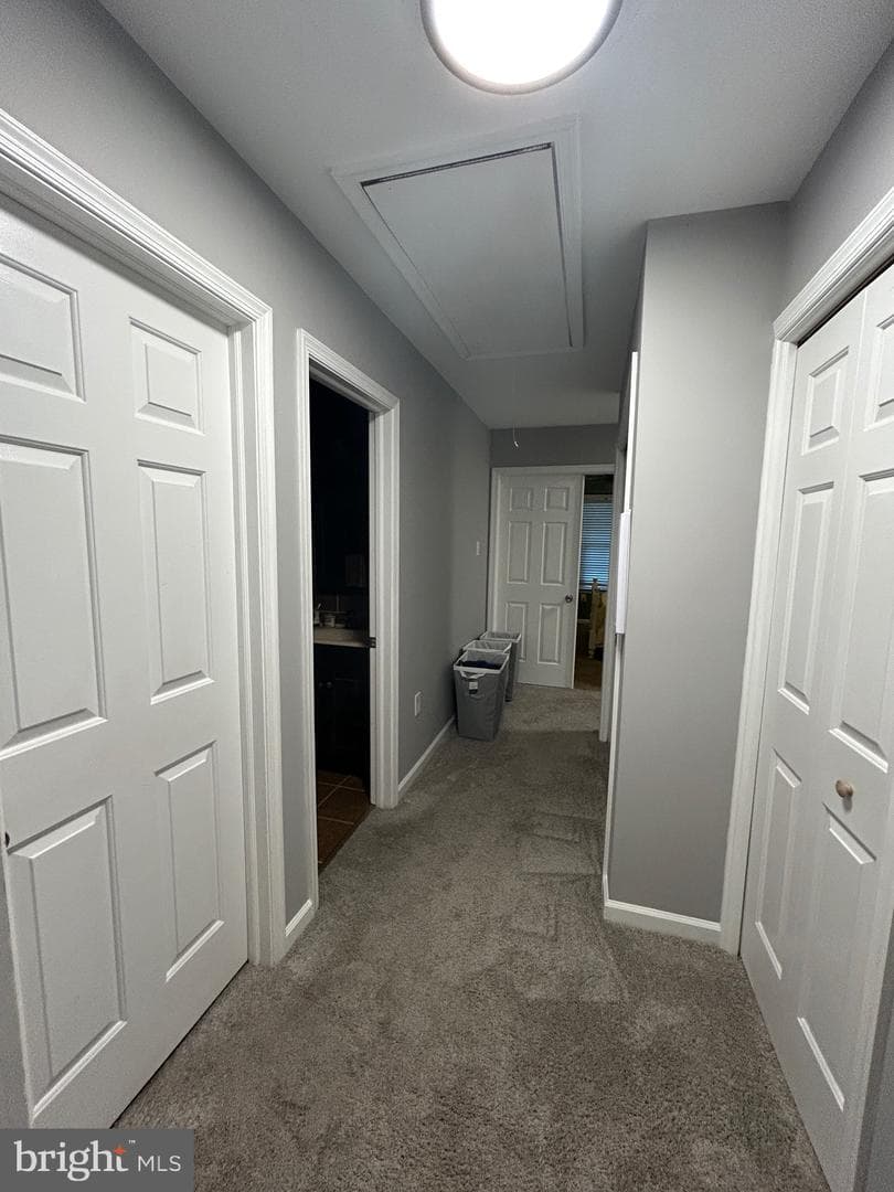 253 Thia Court photo 16