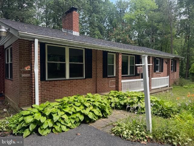 101 Schane Lane photo 2