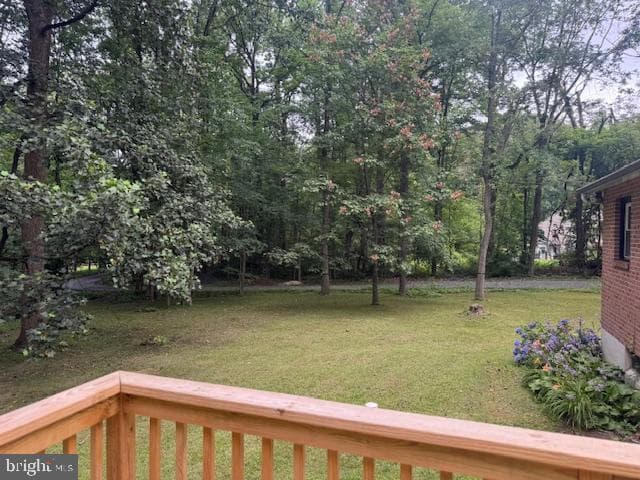 101 Schane Lane photo 25