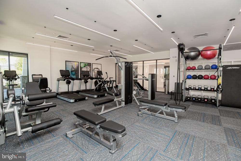 627 Appaloosa Road #251 photo 3
