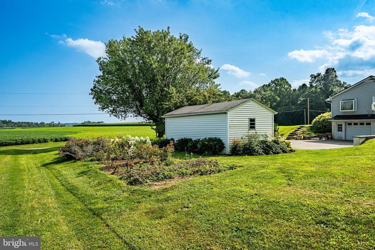 25 Freeman Road photo 10