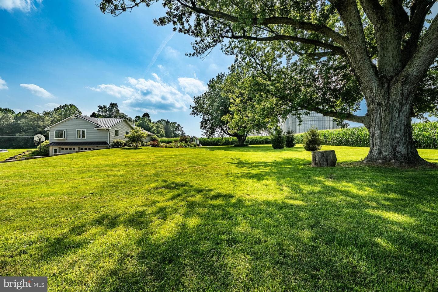 25 Freeman Road photo 11