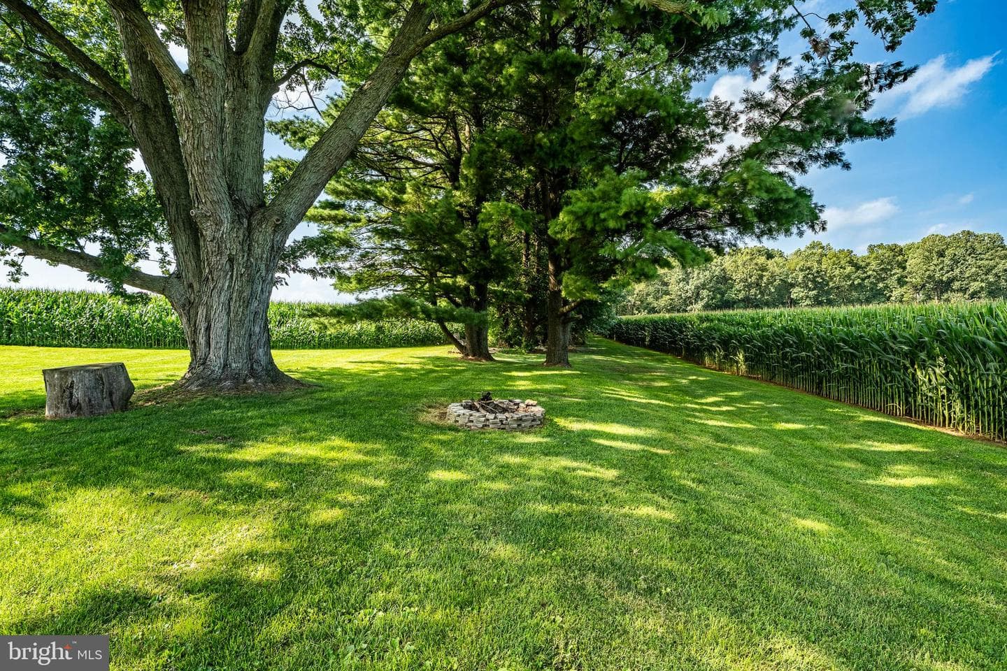 25 Freeman Road photo 12