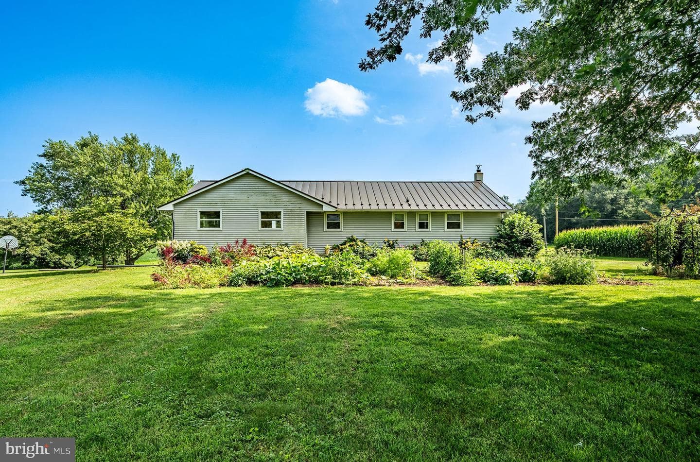 25 Freeman Road photo 13